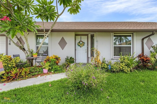 view of front of house with a shingled roof, a front lawn, and stucco siding