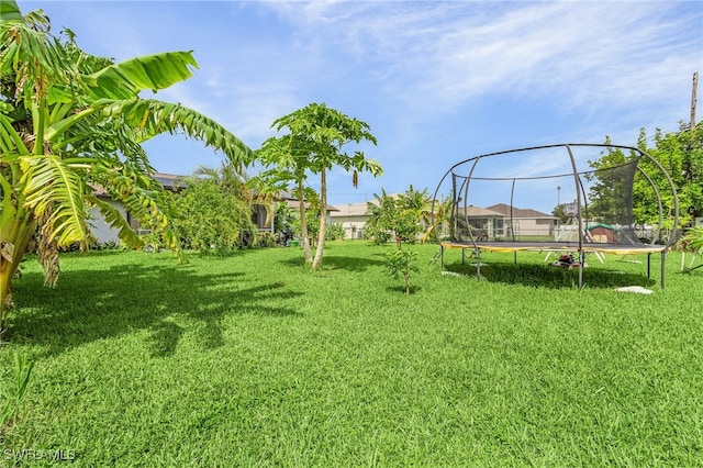 view of yard featuring a trampoline