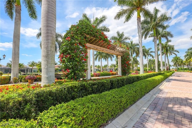 view of home's community with a pergola