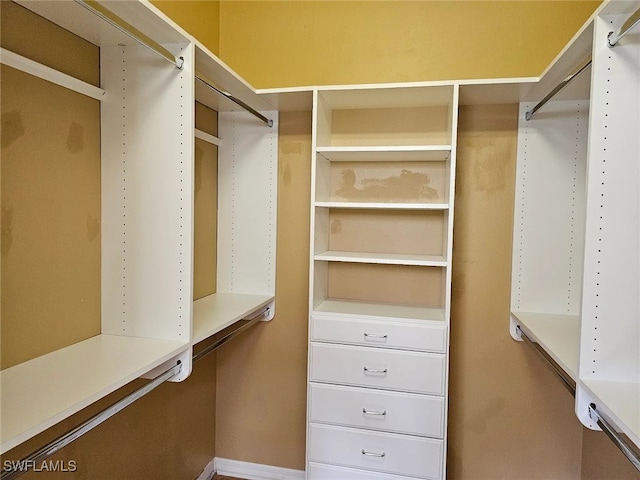 view of walk in closet