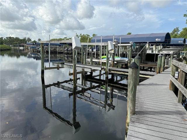 dock area with a water view