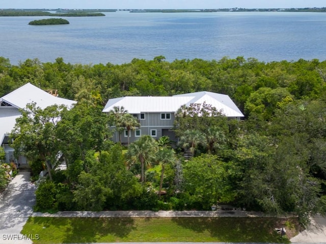 bird's eye view featuring a water view and a forest view