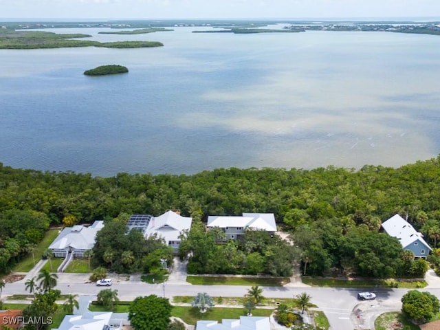 drone / aerial view with a water view and a forest view