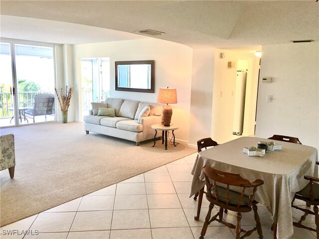 living room with light colored carpet