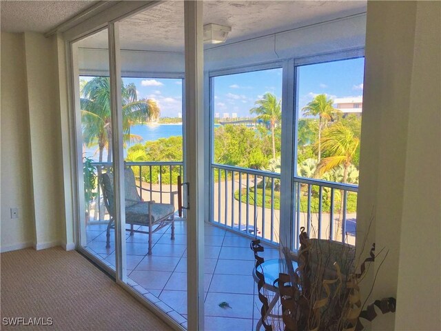 entryway with a textured ceiling, carpet floors, a water view, and plenty of natural light