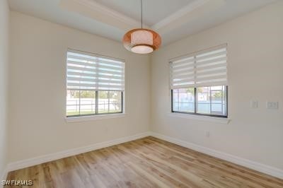 unfurnished room featuring light wood-type flooring