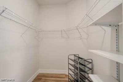 spacious closet with wood-type flooring