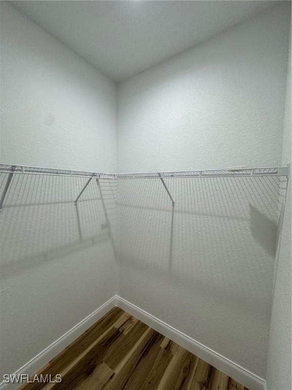 walk in closet featuring wood finished floors