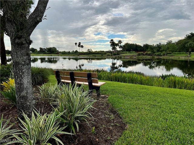 3020 Meandering Way Unit 201, Fort Myers, FL 33905 - view of property's community featuring a water view and a yard