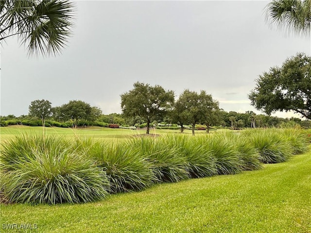 3020 Meandering Way Unit 201, Fort Myers, FL 33905 - view of grassy yard