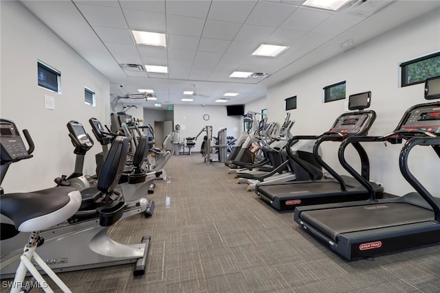 workout area featuring a drop ceiling and carpet