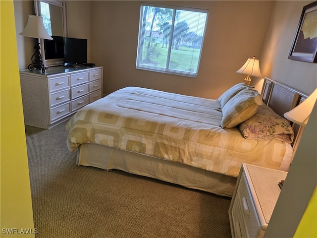 bedroom with carpet flooring