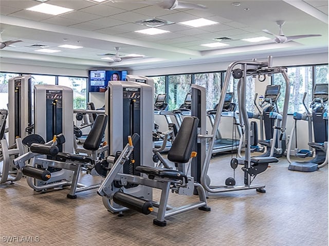 exercise room featuring ceiling fan and a paneled ceiling