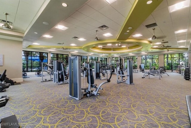 gym with a raised ceiling, carpet floors, and a drop ceiling