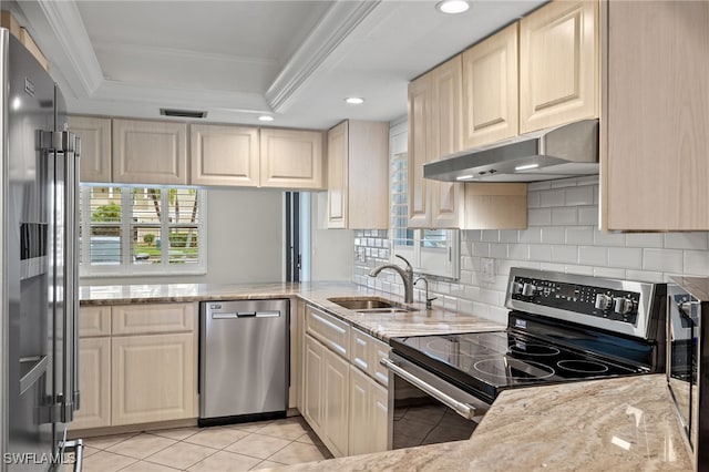 kitchen with light stone counters, a tray ceiling, stainless steel appliances, a sink, and under cabinet range hood