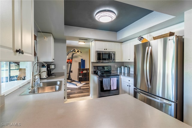 kitchen featuring appliances with stainless steel finishes, a tray ceiling, sink, and white cabinets