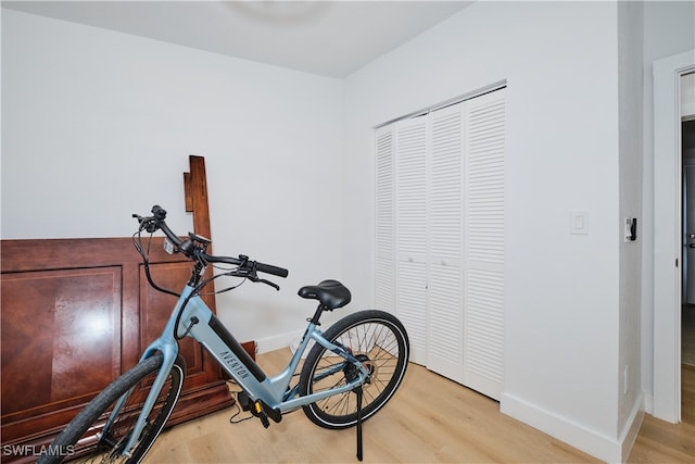 workout room with light hardwood / wood-style floors