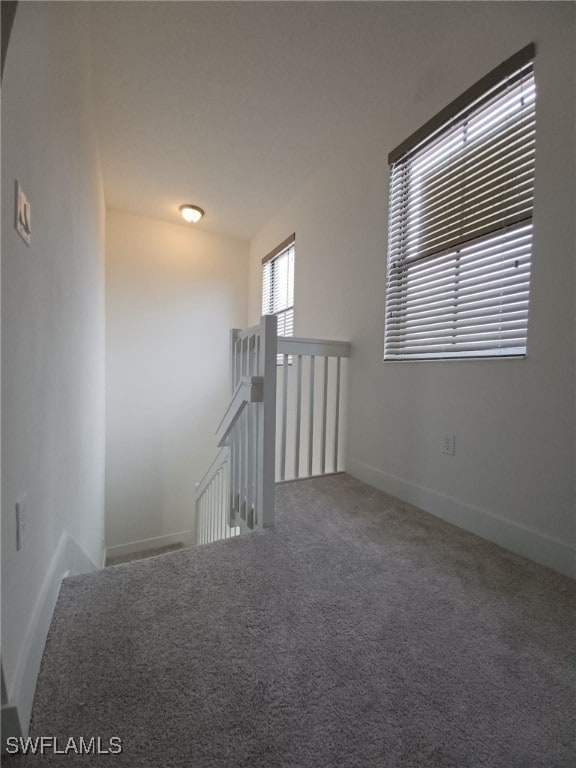 interior space with carpet floors