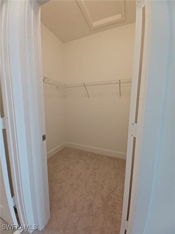 walk in closet featuring carpet