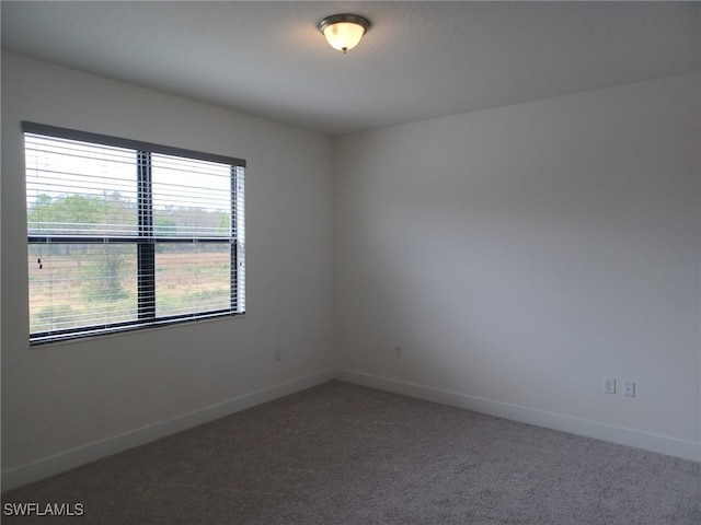 spare room with carpet flooring