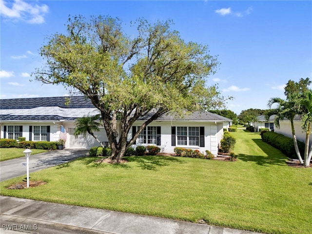 ranch-style house with a front yard