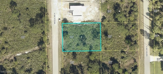 135 Nacelle Ave S, Lehigh Acres FL, 33974 land for sale