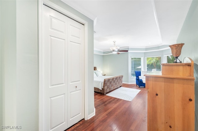 bedroom featuring ornamental molding, a closet, ceiling fan, and dark hardwood / wood-style floors