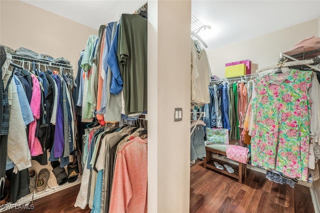 spacious closet with dark wood-type flooring