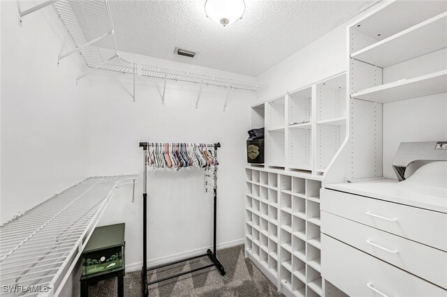 spacious closet featuring carpet