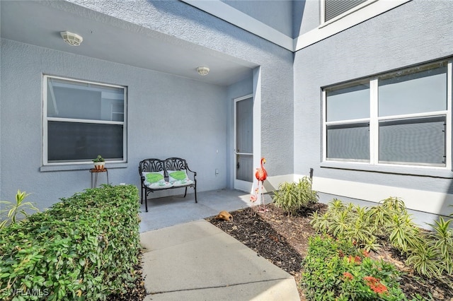 doorway to property featuring stucco siding