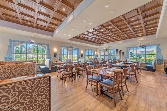 dining room featuring coffered ceiling, a healthy amount of sunlight, and light wood-style flooring