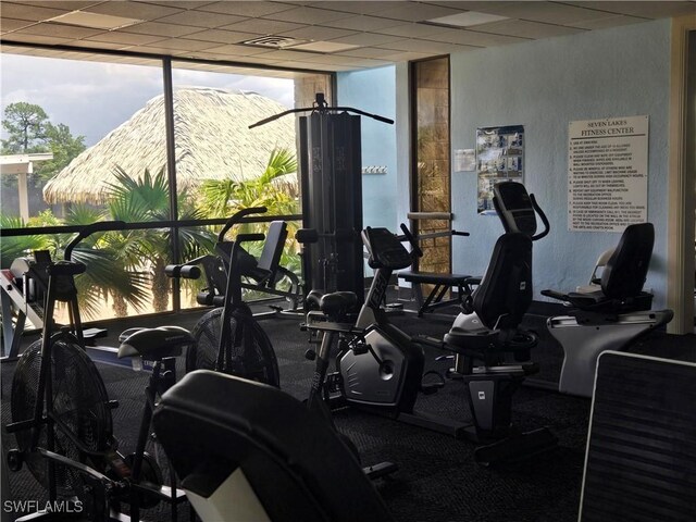 13331 Medinah Cir W Unit 1, Fort Myers, FL 33907 - exercise room featuring expansive windows and a mountain view