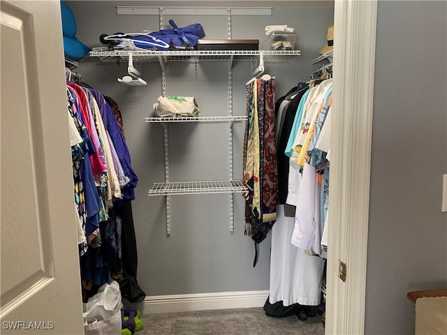 walk in closet featuring carpet floors