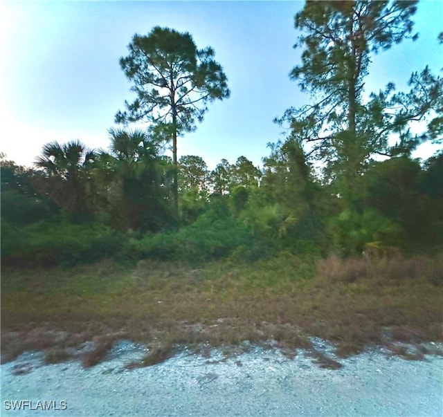 4215 E 30th St, Alva FL, 33920 land for sale