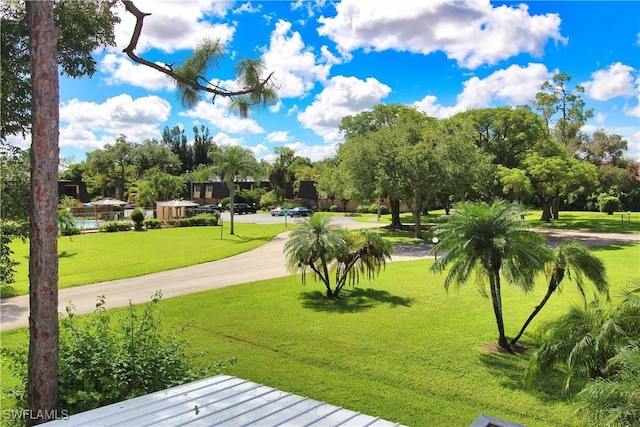 view of community featuring a yard