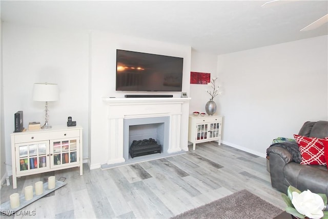 living room featuring wood finished floors, baseboards, and a fireplace