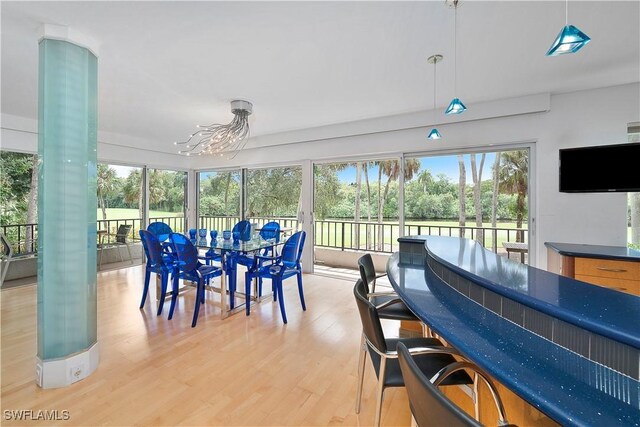 dining space with light hardwood / wood-style flooring