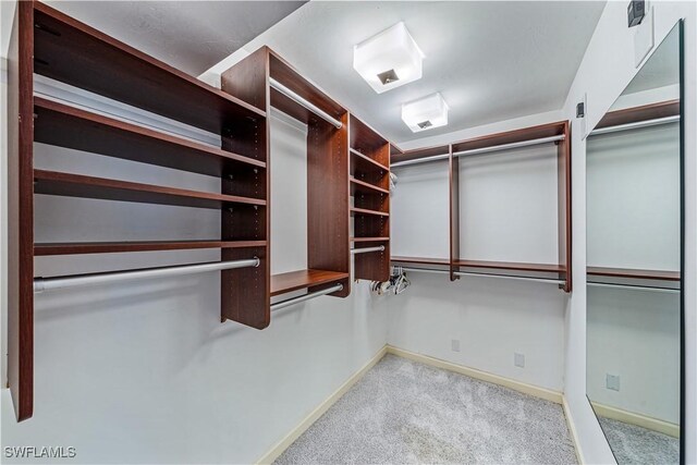 spacious closet with carpet