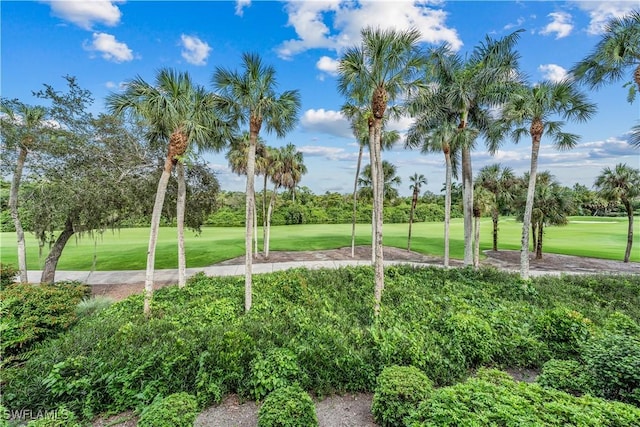 107 Clubhouse Dr Unit 258, Naples, FL 34105 - surrounding community with golf course view and a lawn
