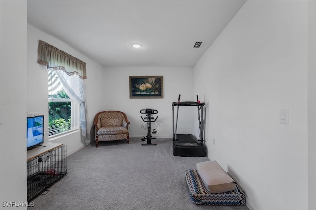 exercise room with carpet