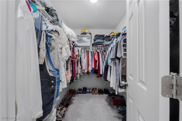 walk in closet featuring carpet flooring