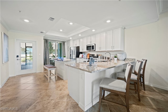 kitchen with light stone counters, a tray ceiling, white cabinetry, stainless steel appliances, and kitchen peninsula