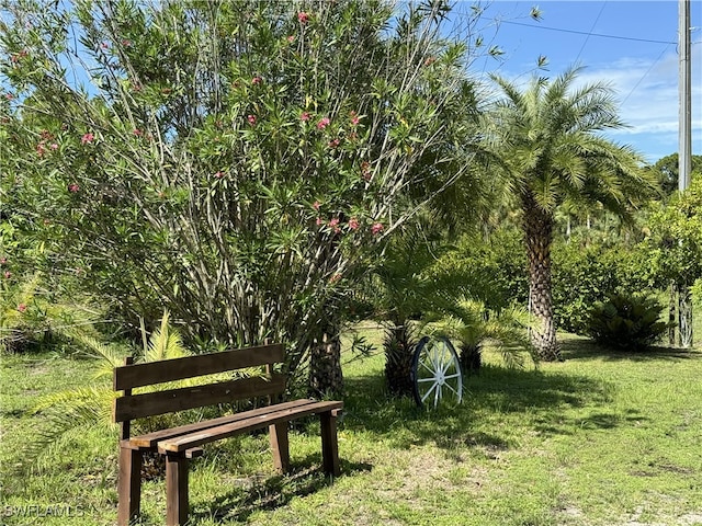 view of community featuring a lawn