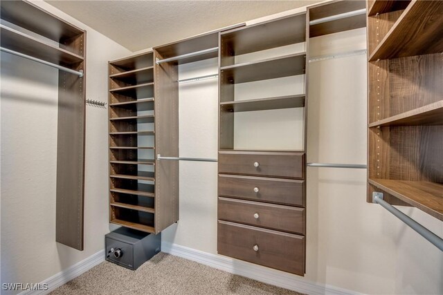 spacious closet featuring carpet floors