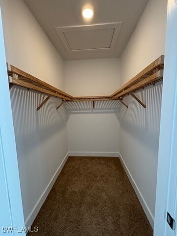 walk in closet featuring carpet floors and attic access