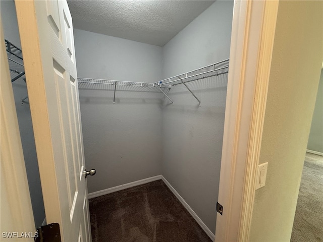 walk in closet featuring carpet