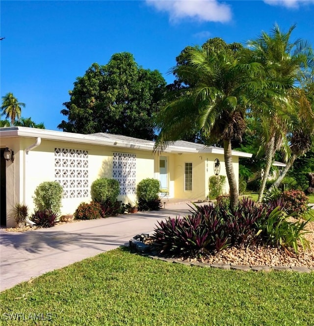 ranch-style house featuring a front lawn