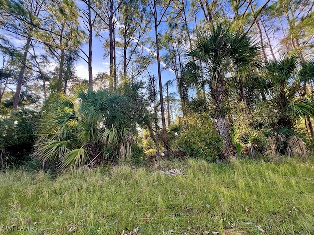 Listing photo 3 for LOT26 Lummus St, North Port FL 34286