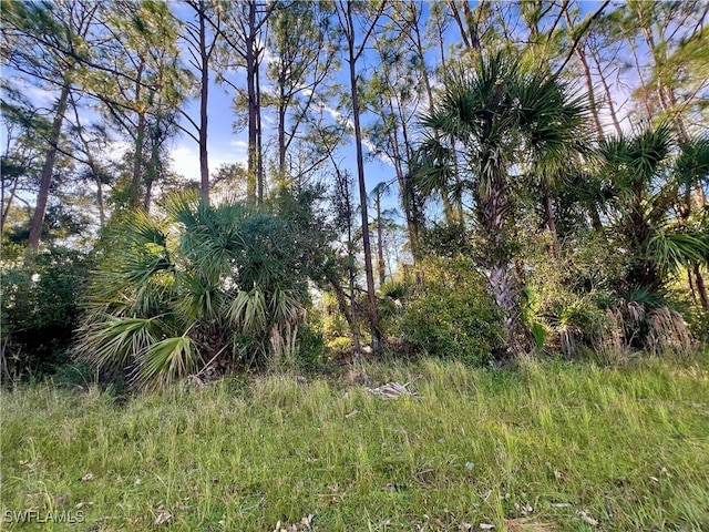 LOT26 Lummus St, North Port, FL 34286