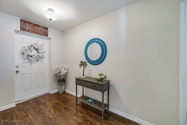 foyer entrance featuring dark wood-type flooring